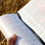 Evangelism Sunday Resources